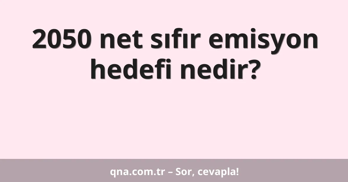 2050 net sıfır emisyon hedefi nedir?