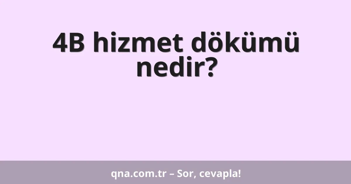 4B hizmet dökümü nedir?