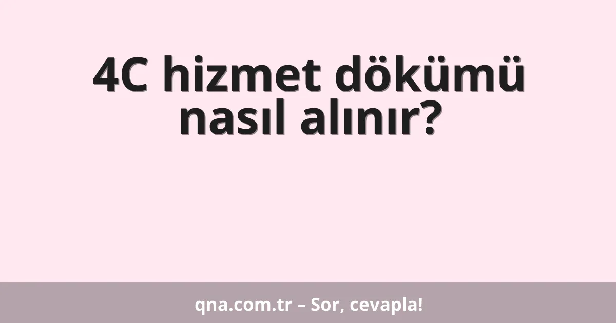 4C hizmet dökümü nasıl alınır?