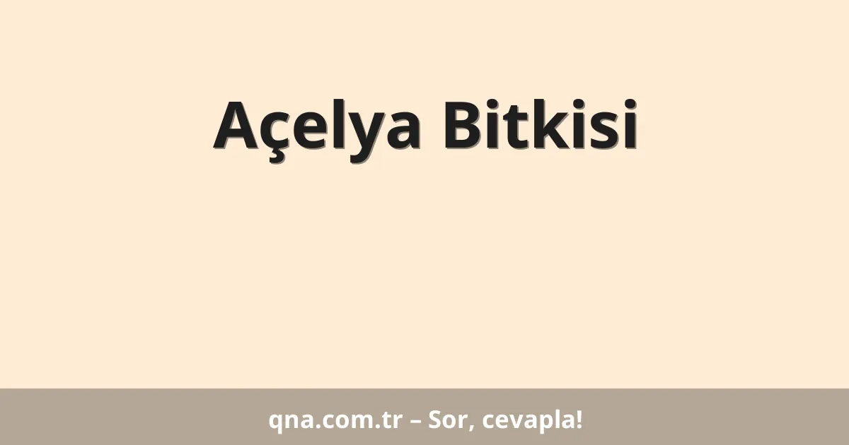 Açelya Bitkisi