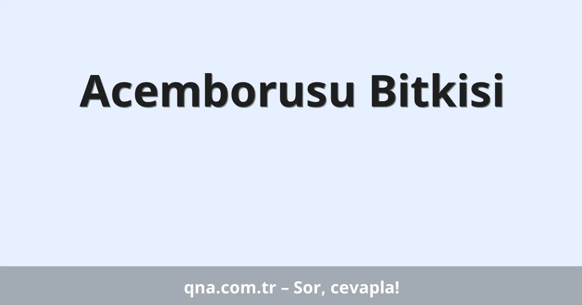 Acemborusu Bitkisi