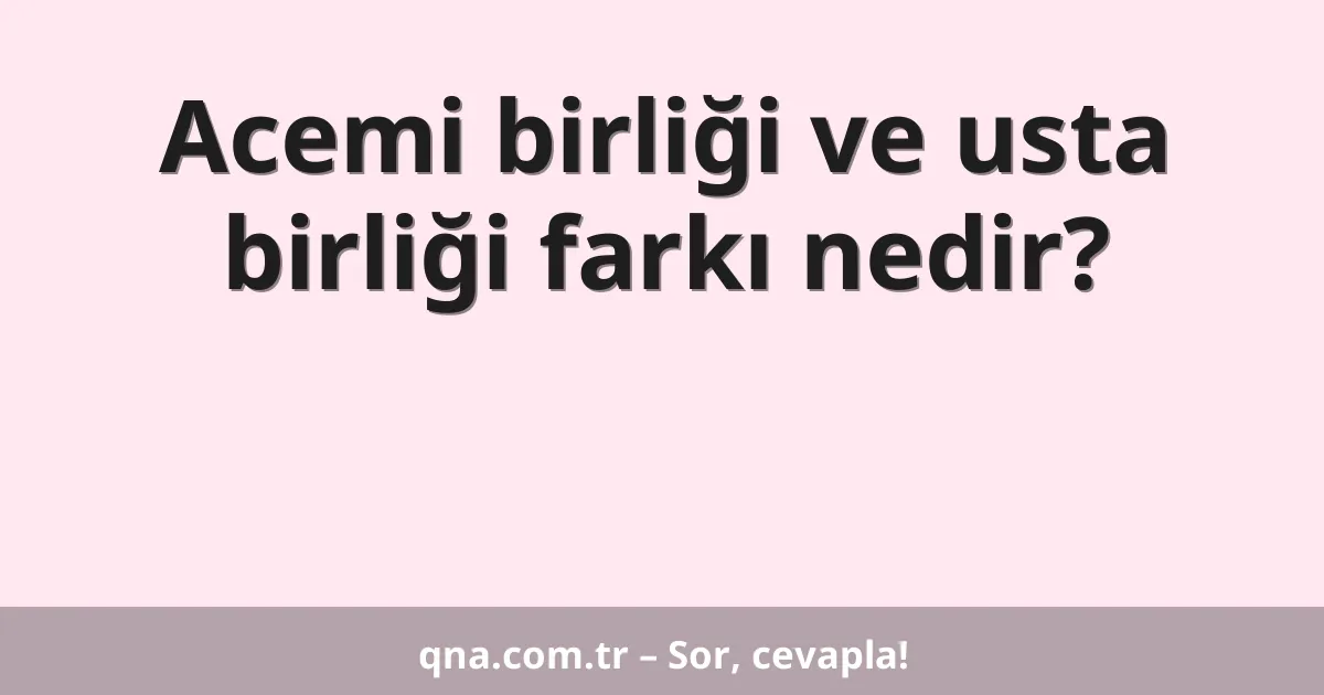 Acemi birliği ve usta birliği farkı nedir?
