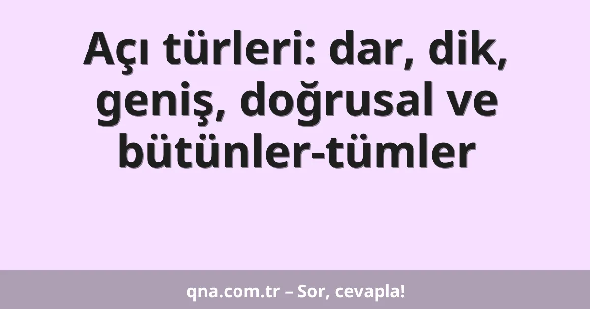 Açı türleri: dar, dik, geniş, doğrusal ve bütünler-tümler