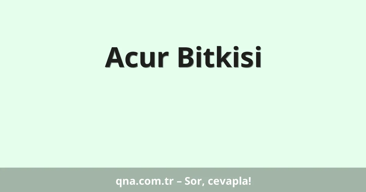 Acur Bitkisi