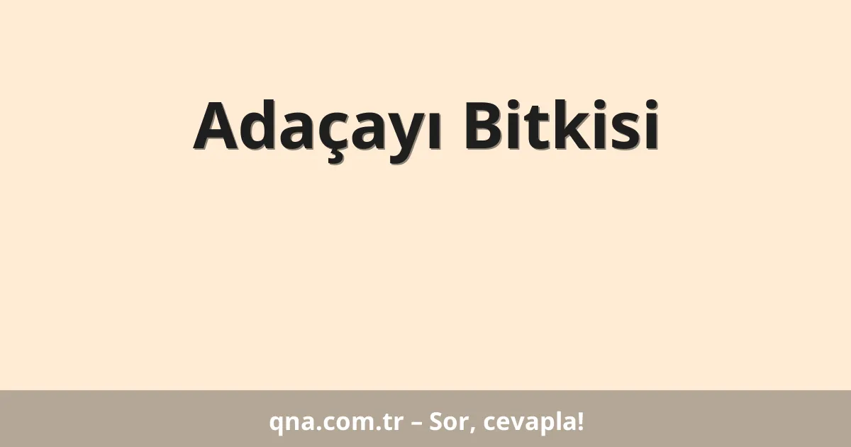 Adaçayı Bitkisi
