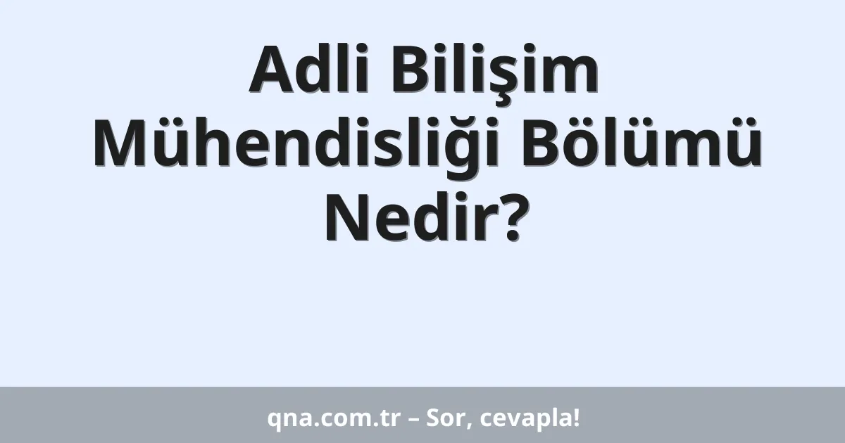 Adli Bilişim Mühendisliği Bölümü Nedir?