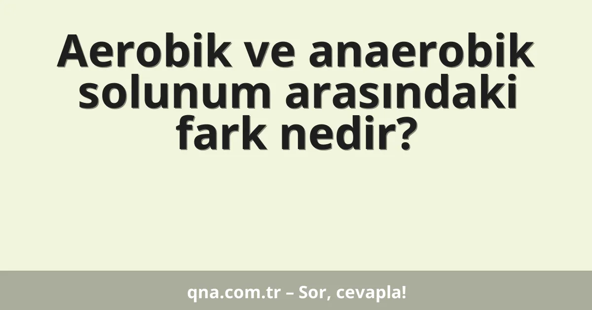Aerobik ve anaerobik solunum arasındaki fark nedir?