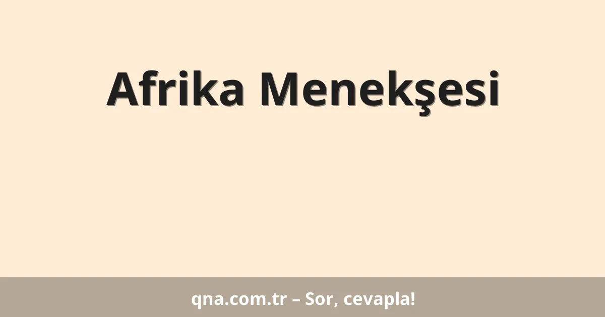 Afrika Menekşesi