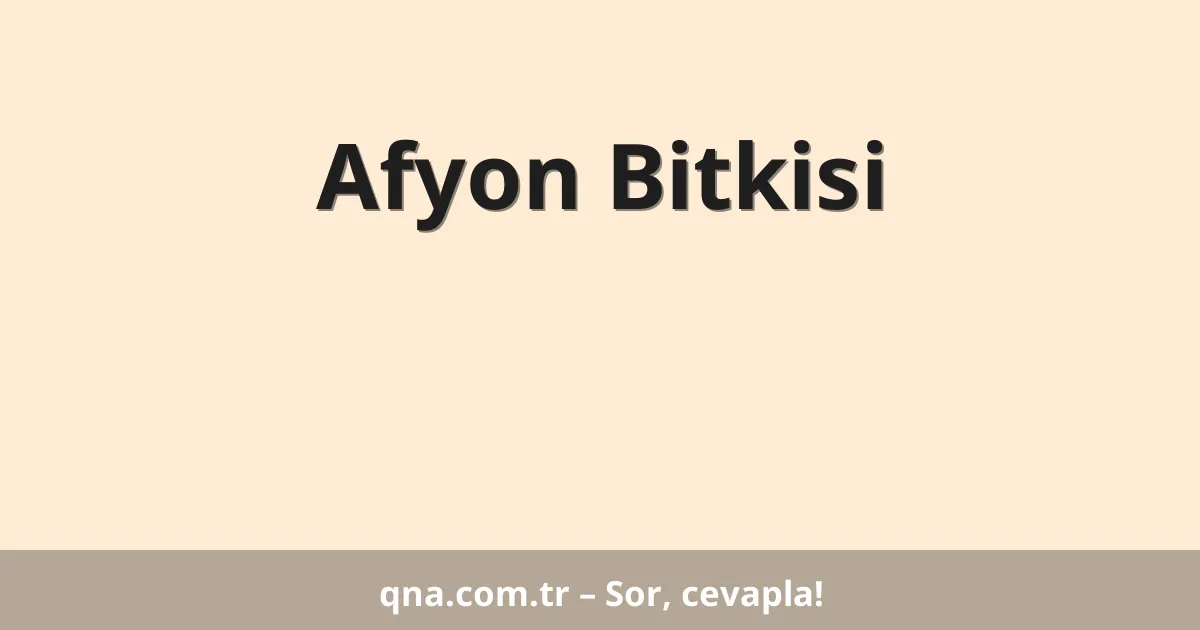 Afyon Bitkisi