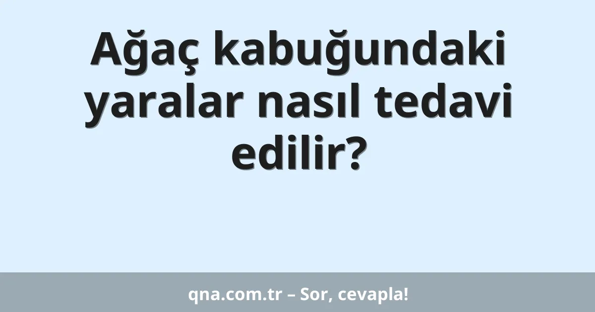 Ağaç kabuğundaki yaralar nasıl tedavi edilir?