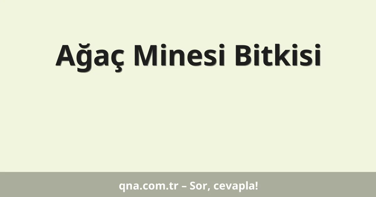 Ağaç Minesi Bitkisi