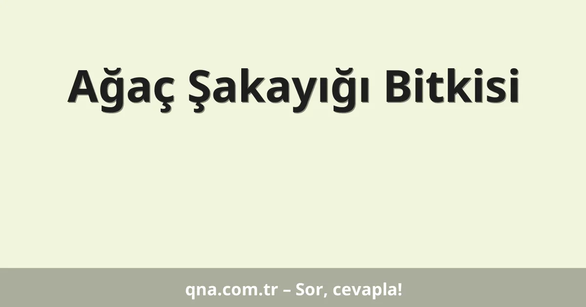 Ağaç Şakayığı Bitkisi