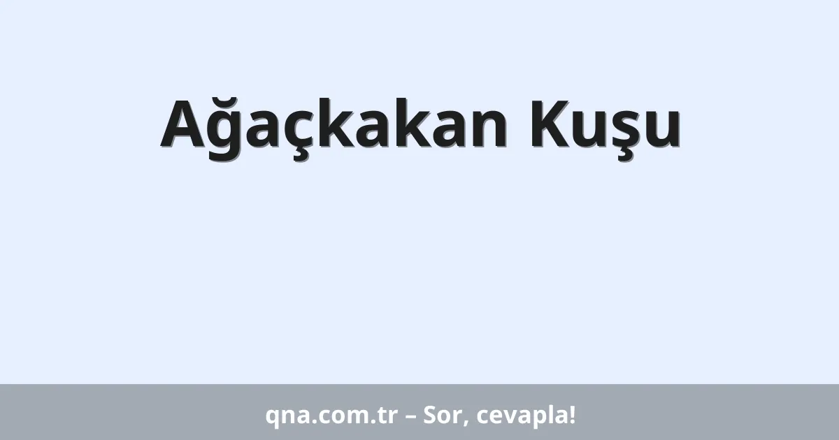 Ağaçkakan Kuşu