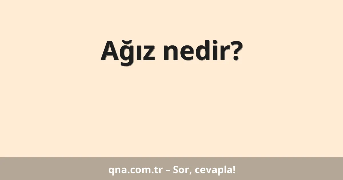Ağız nedir?