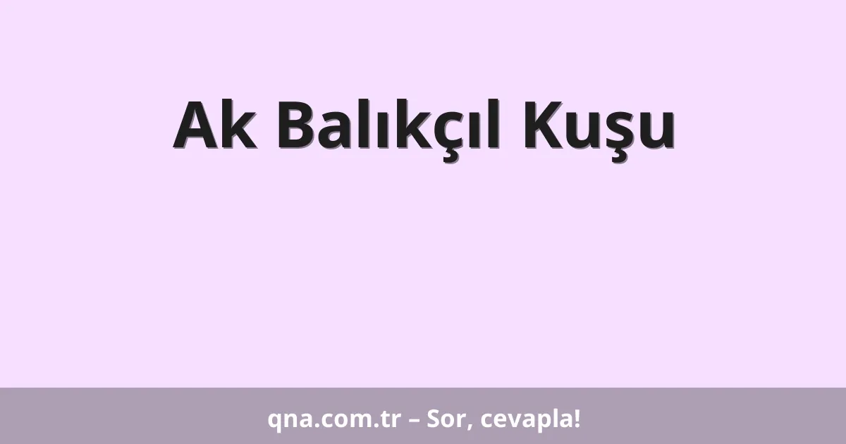 Ak Balıkçıl Kuşu