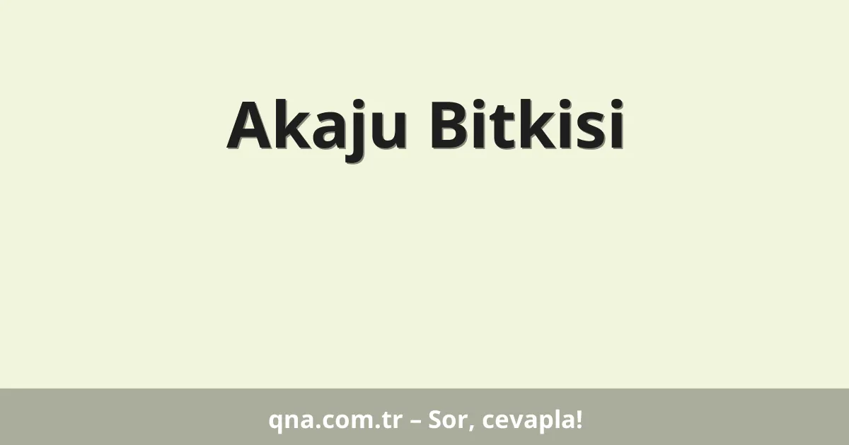Akaju Bitkisi