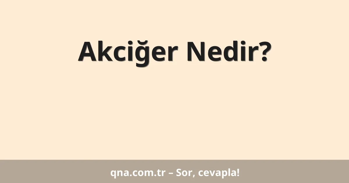 Akciğer Nedir?