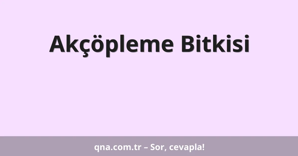 Akçöpleme Bitkisi