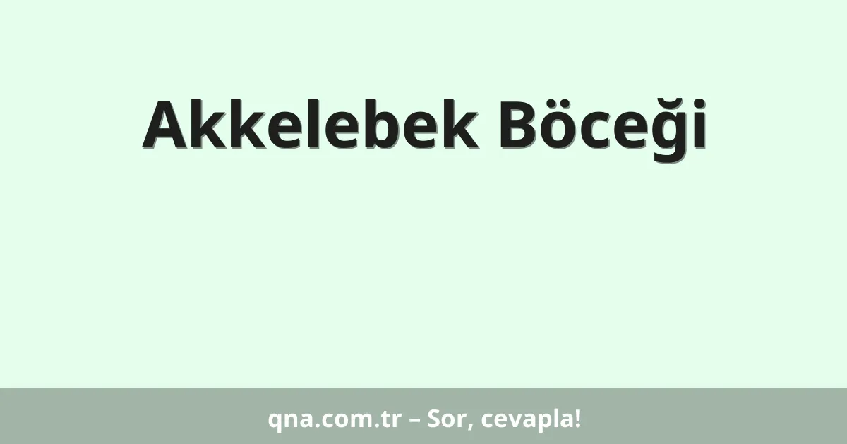 Akkelebek Böceği