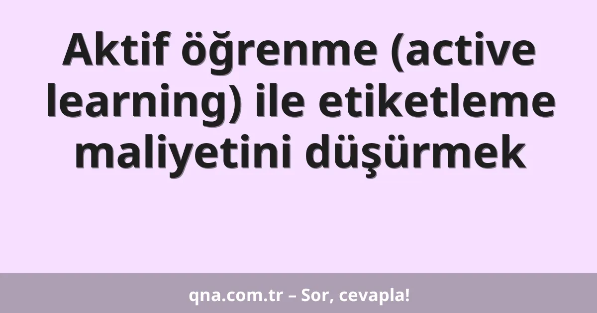 Aktif öğrenme (active learning) ile etiketleme maliyetini düşürmek