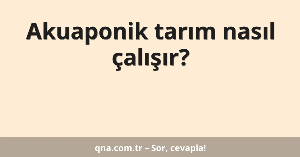 Akuaponik tarım nasıl çalışır?
