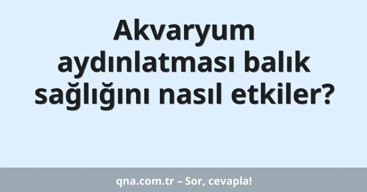 Akvaryum aydınlatması balık sağlığını nasıl etkiler?