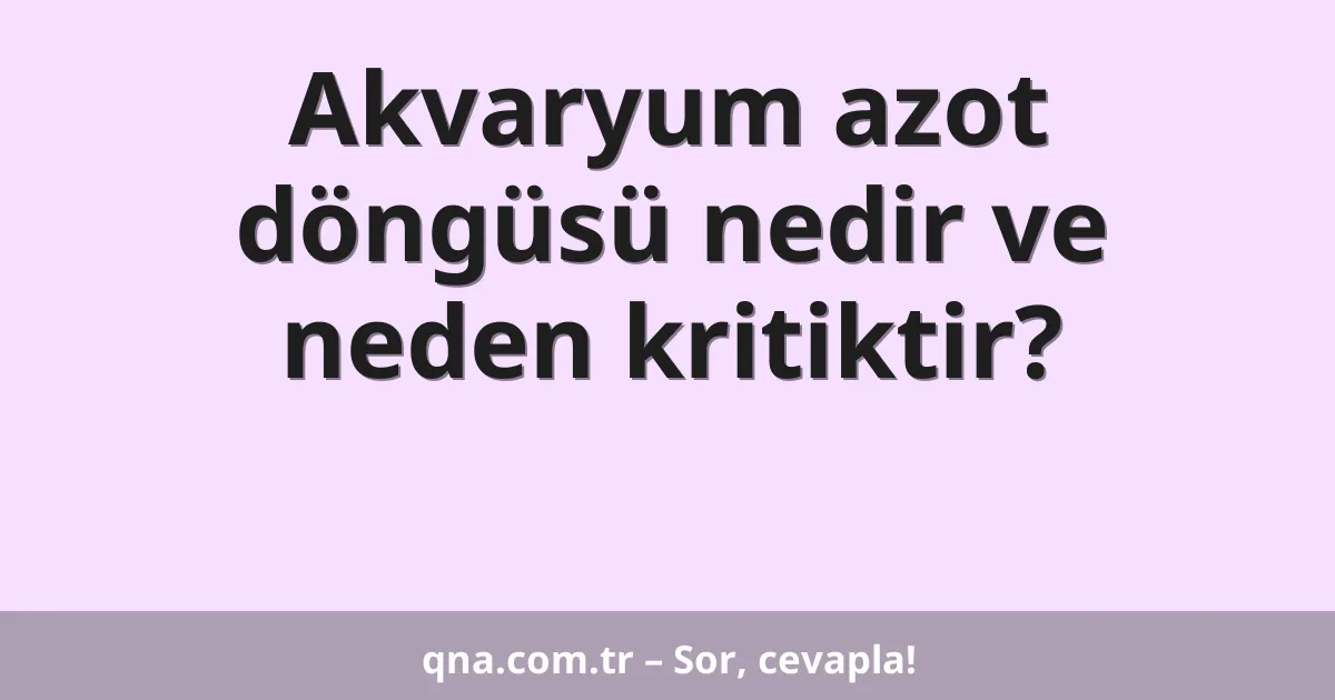 Akvaryum azot döngüsü nedir ve neden kritiktir?