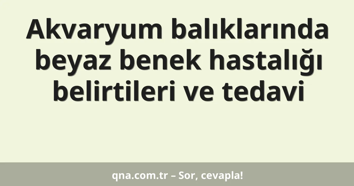 Akvaryum balıklarında beyaz benek hastalığı belirtileri ve tedavi