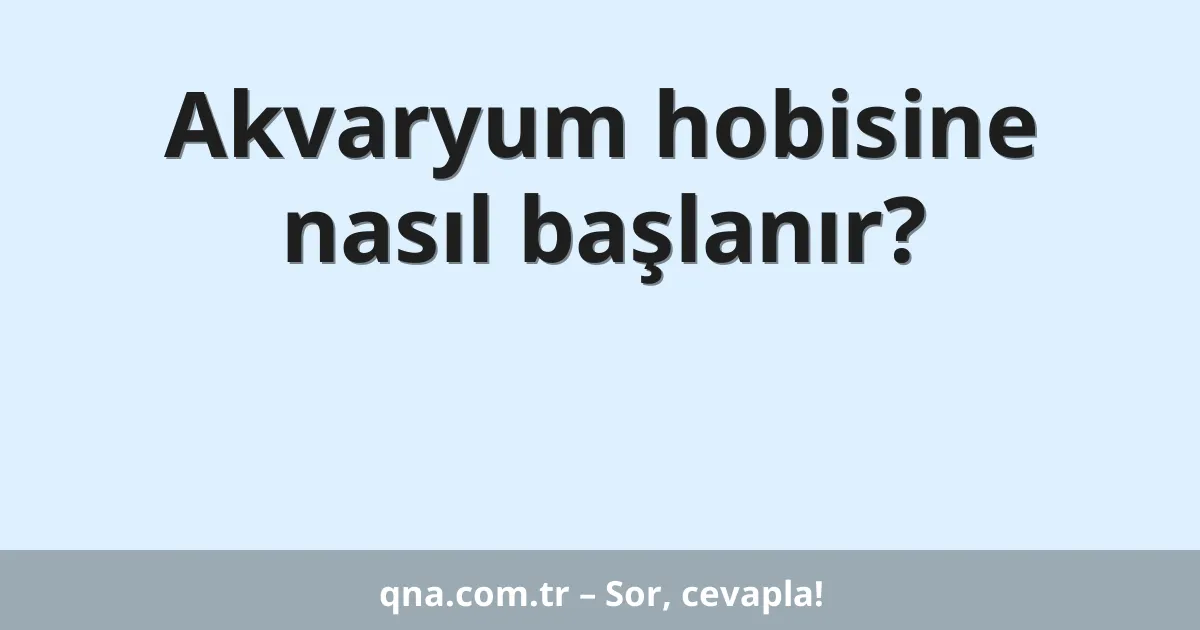 Akvaryum hobisine nasıl başlanır?