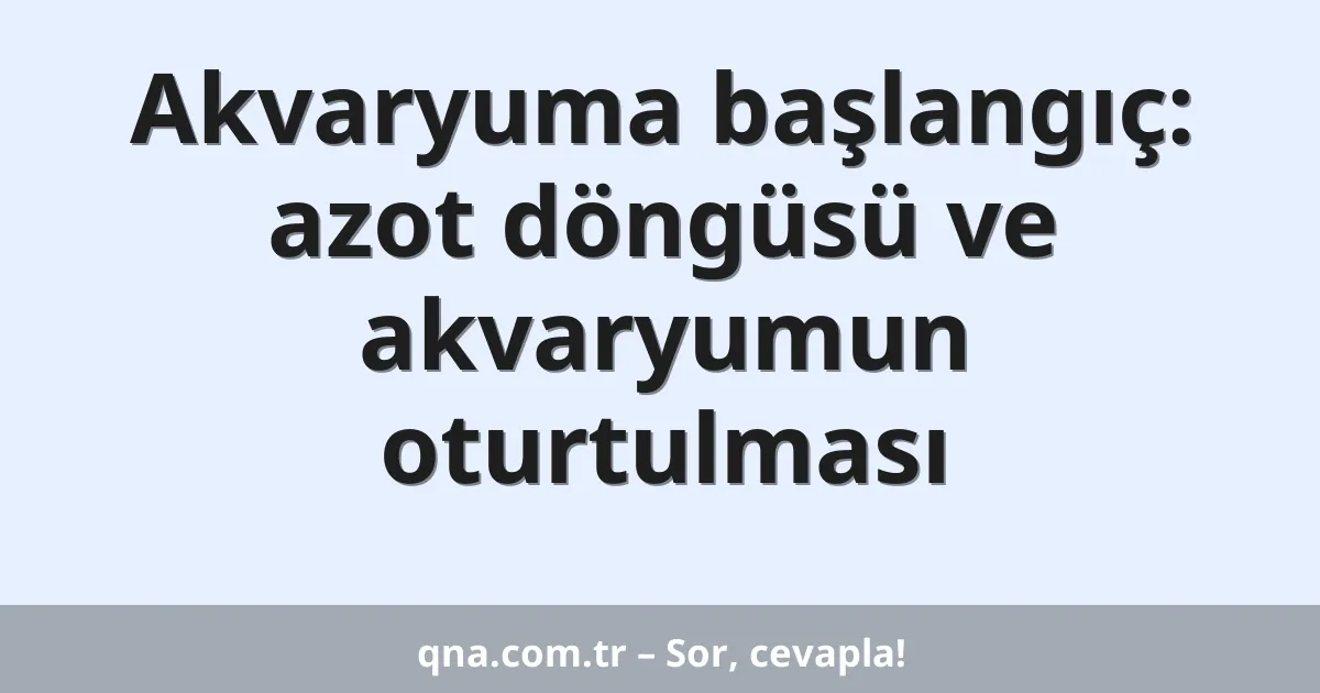 Akvaryuma başlangıç: azot döngüsü ve akvaryumun oturtulması