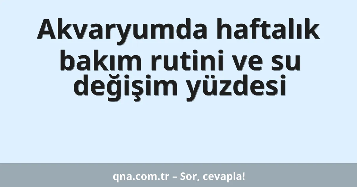 Akvaryumda haftalık bakım rutini ve su değişim yüzdesi