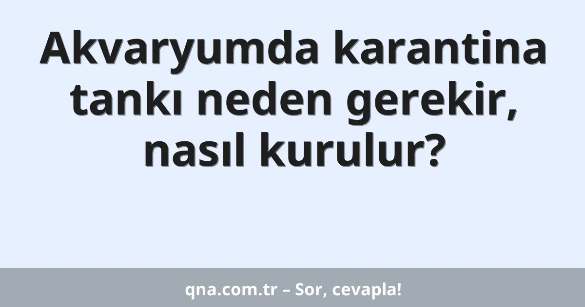 Akvaryumda karantina tankı neden gerekir, nasıl kurulur?