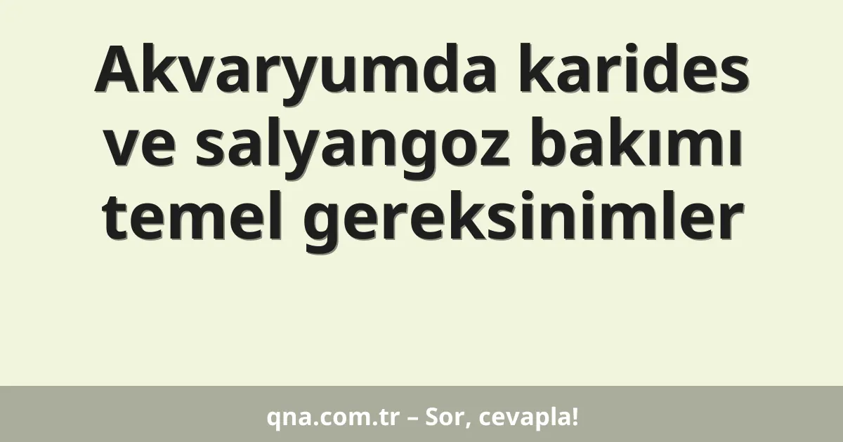 Akvaryumda karides ve salyangoz bakımı temel gereksinimler
