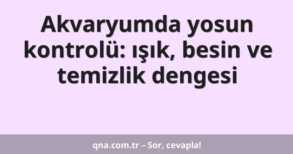 Akvaryumda yosun kontrolü: ışık, besin ve temizlik dengesi