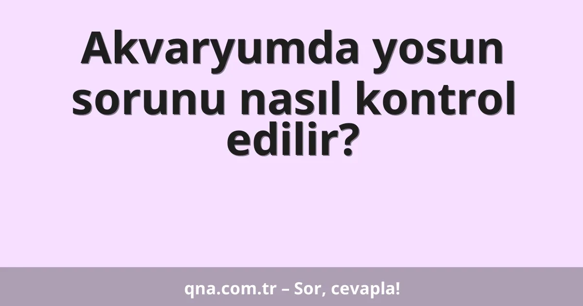 Akvaryumda yosun sorunu nasıl kontrol edilir?