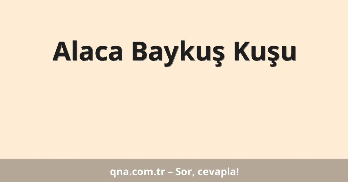 Alaca Baykuş Kuşu