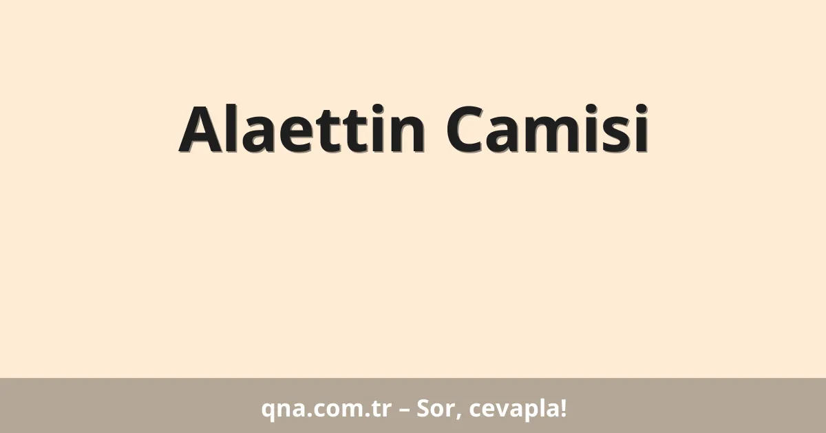 Alaettin Camisi