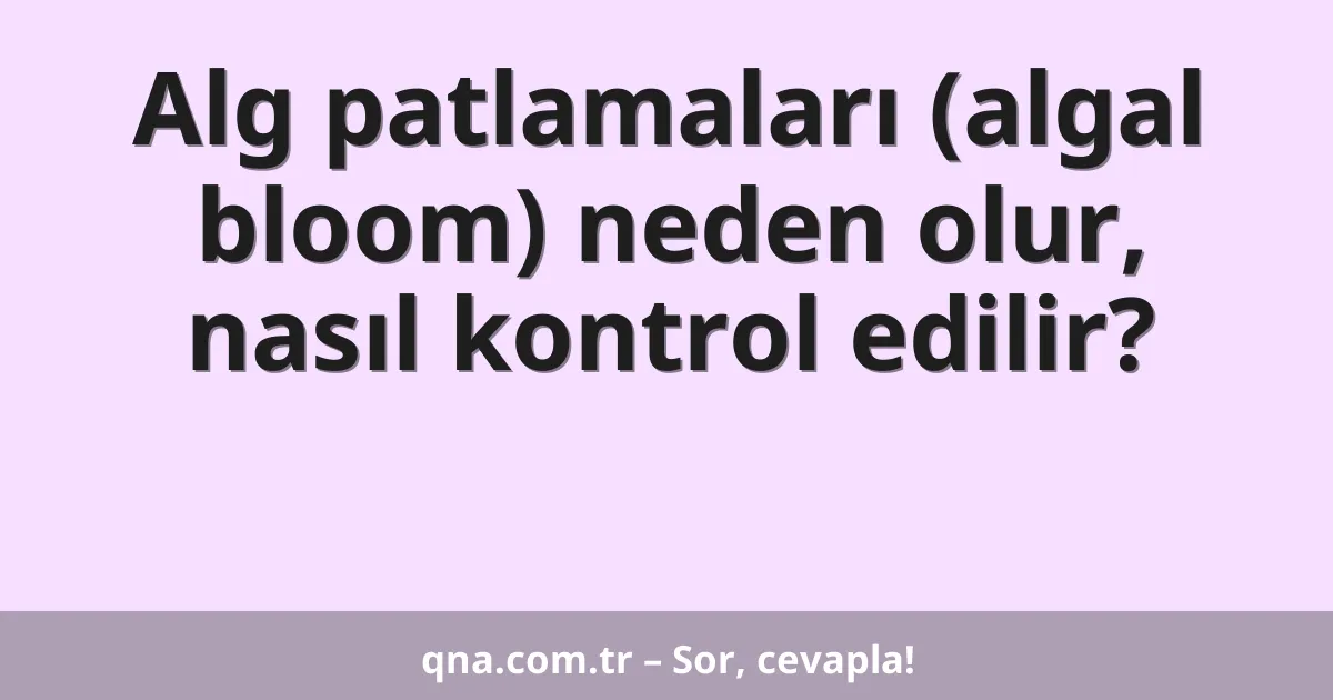 Alg patlamaları (algal bloom) neden olur, nasıl kontrol edilir?