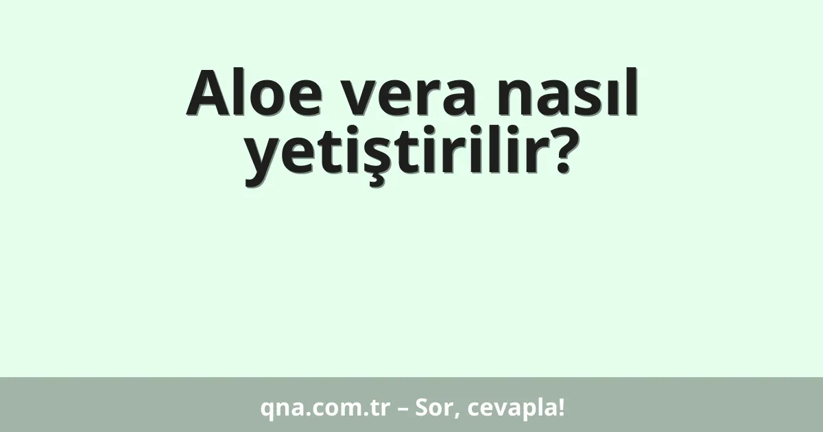 Aloe vera nasıl yetiştirilir?