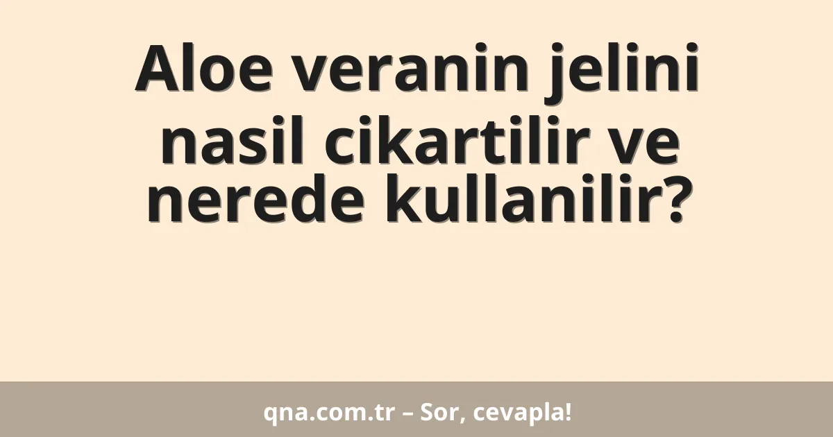 Aloe veranin jelini nasil cikartilir ve nerede kullanilir?