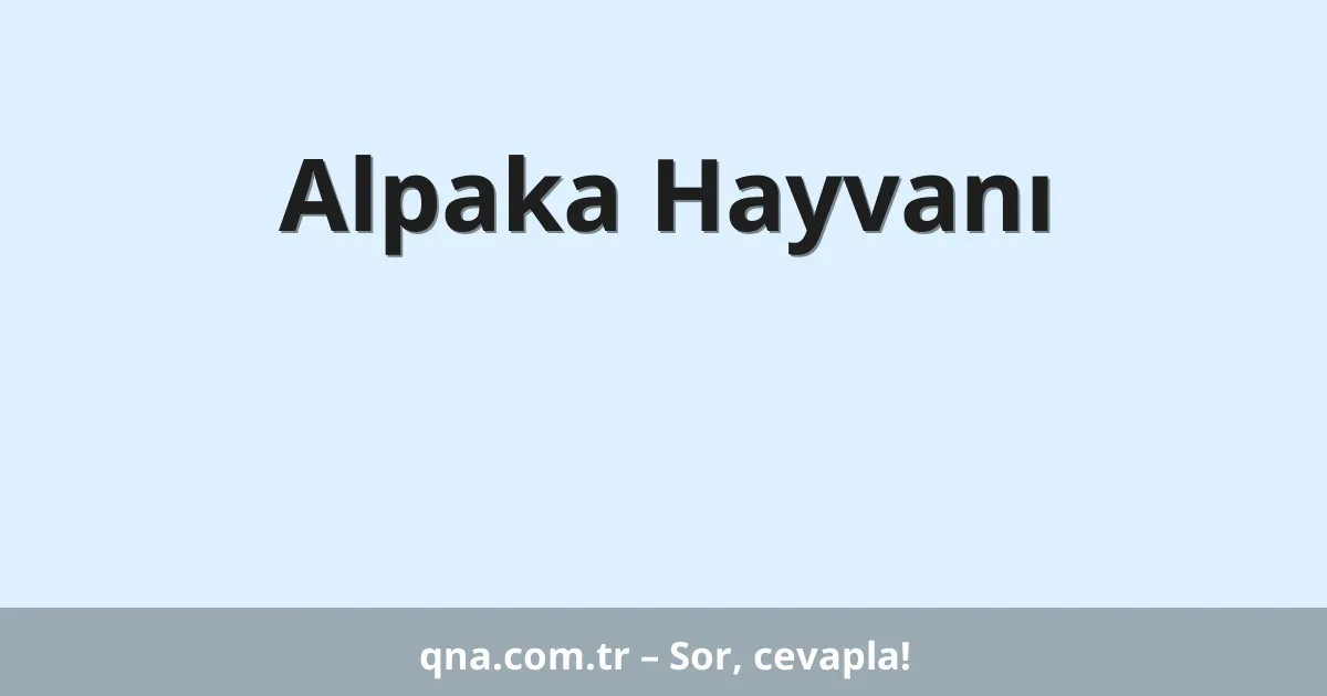 Alpaka Hayvanı