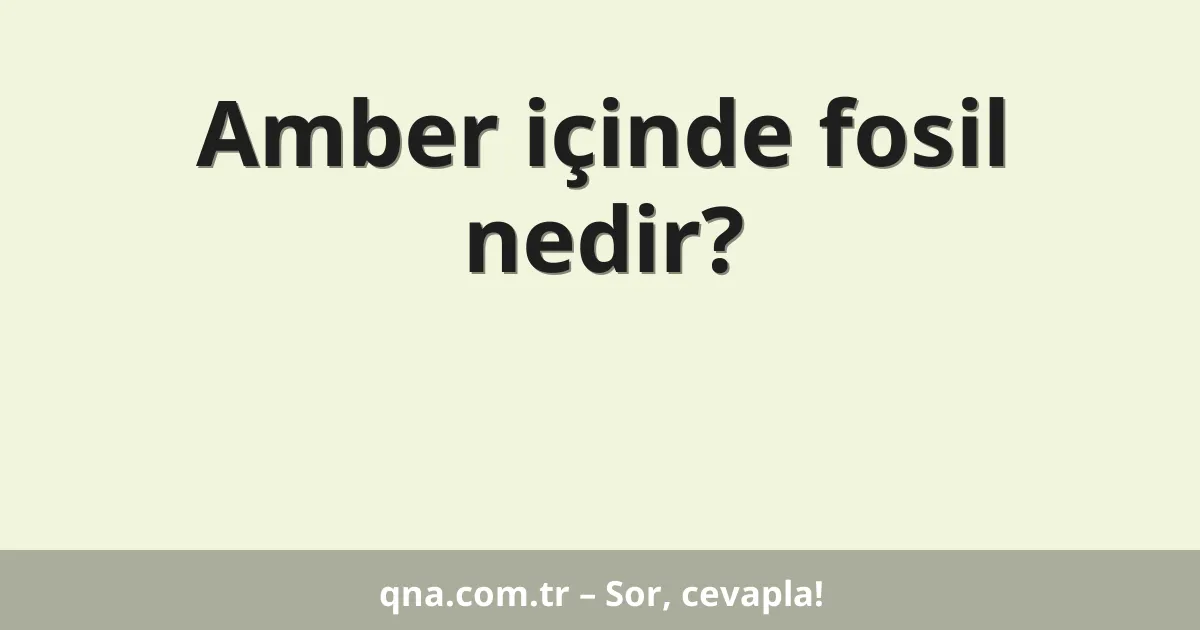 Amber içinde fosil nedir?