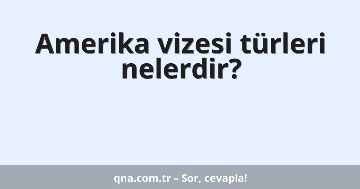 Amerika vizesi türleri nelerdir?