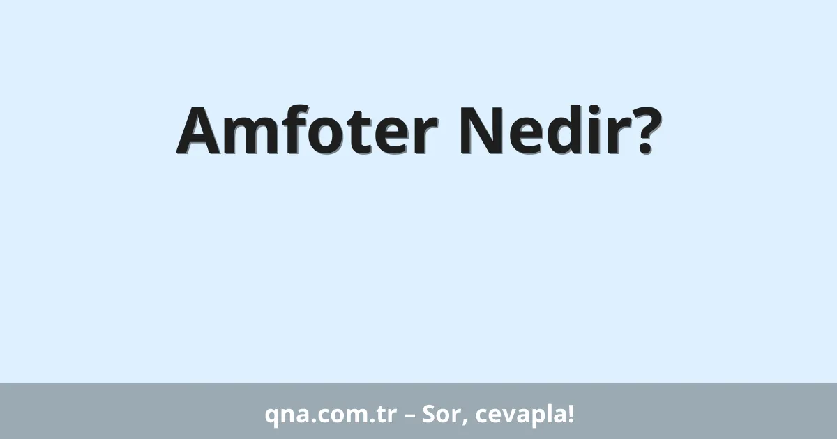 Amfoter Nedir?