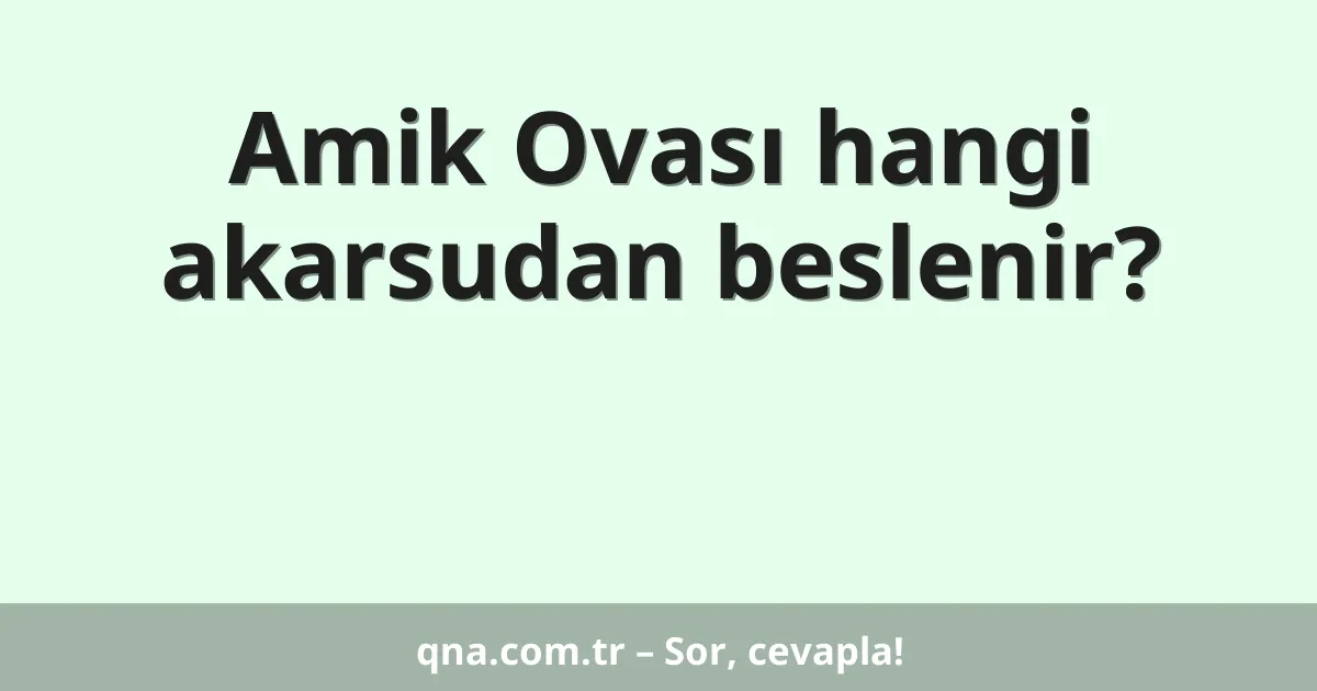 Amik Ovası hangi akarsudan beslenir?