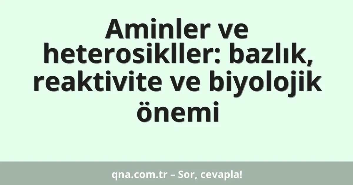 Aminler ve heterosikller: bazlık, reaktivite ve biyolojik önemi