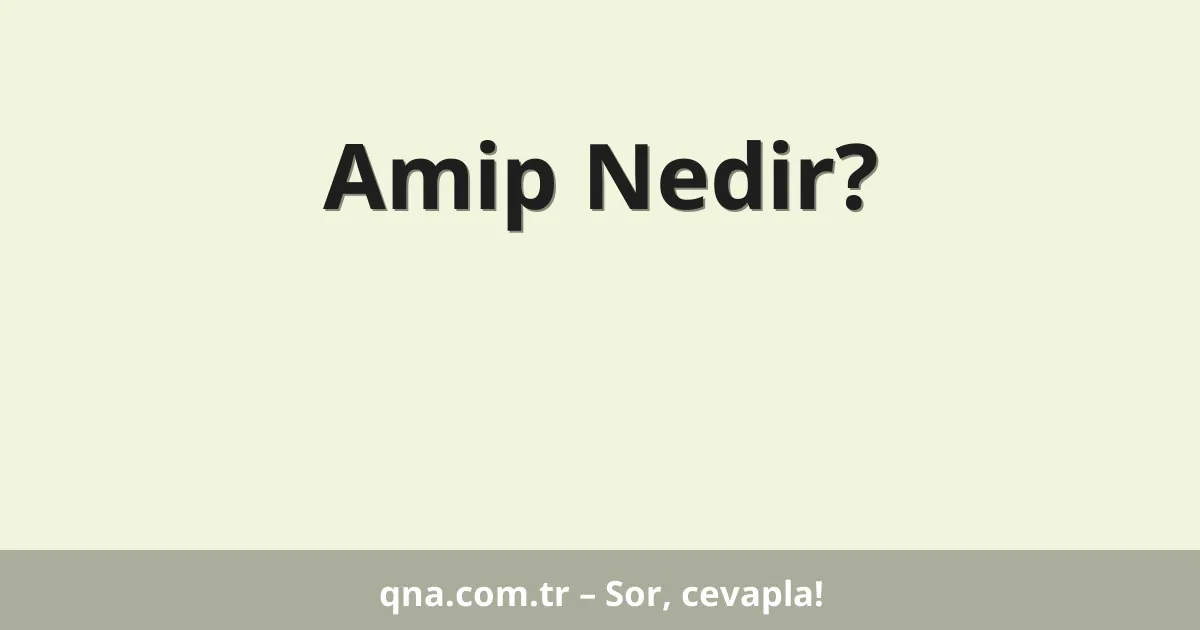 Amip Nedir?