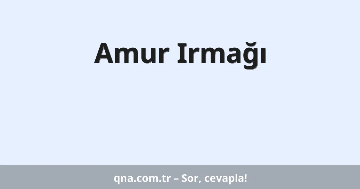 Amur Irmağı