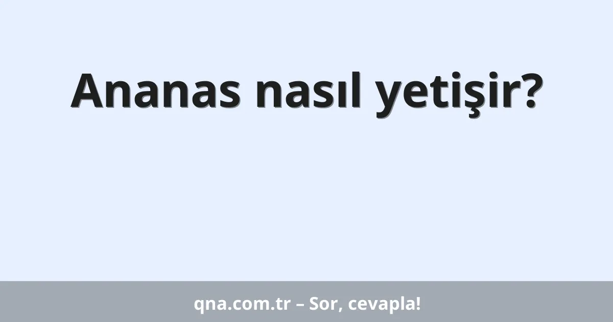 Ananas nasıl yetişir?