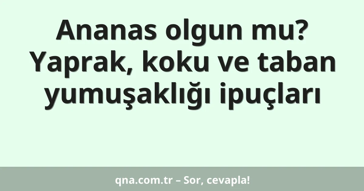 Ananas olgun mu? Yaprak, koku ve taban yumuşaklığı ipuçları
